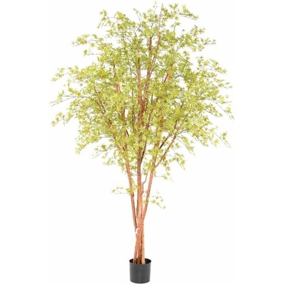 ARALIA PE STROM UV, 280cm