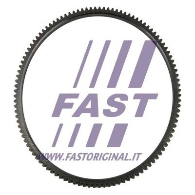 Ozubený věnec, setrvačník FAST FT64104