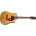 Fender CD-140SCE 12-String