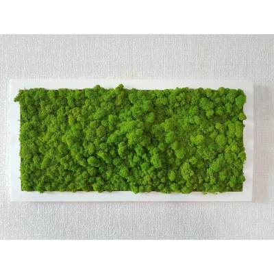 Mechový obraz 40cm x 80cm