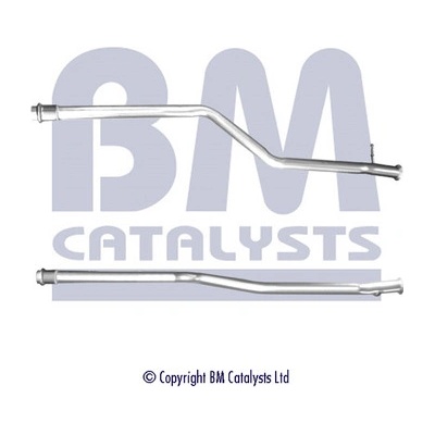 BM CATALYSTS BM50392