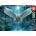 Educa - Puzzle Anne Stokes: Awake Your Magic - 500 piese