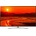 LG 75SM9900