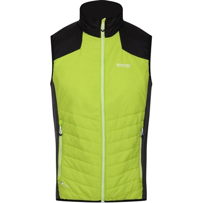 Regatta Halton BW VI Размер: XL /