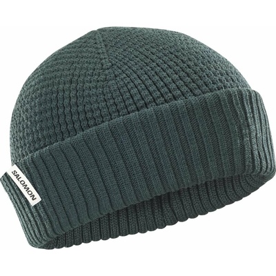 Salomon Docker beanie LC2601600 green gables