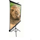 ELITE SCREENS 100" 16: 9 VMAX100UWH2