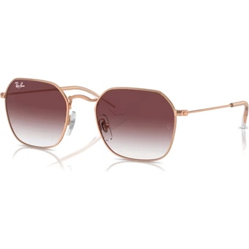 Ray-Ban RJ9594S 291/8H