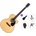 Pasadena PGC-100 Premium SET Natural Джъмбо китара
