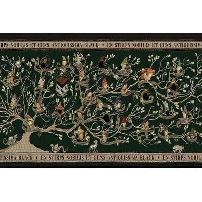 Plakát, Obraz - Harry Potter – Rodokmen Blackových / Rodokmen rodu Blacků, 40 × 26.7 cm