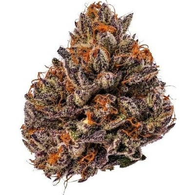 Growers Choice Tropicana Cherry Triploid F1 semena neobsahují THC 5 ks