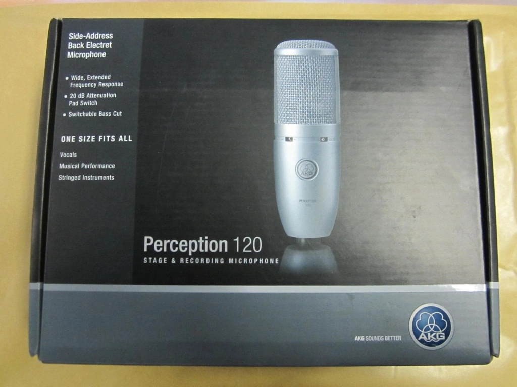 AKG Perception 120