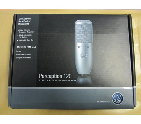 AKG Perception 120