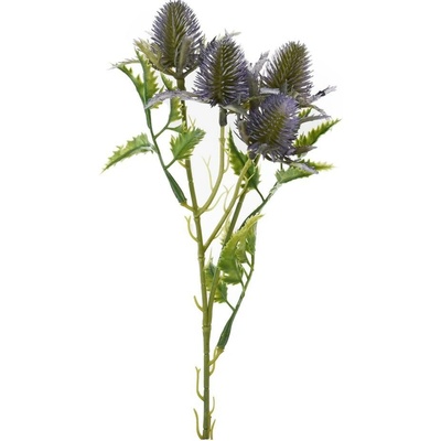 ZELEŇ ERYNGIUM-BODLIAK FIALOVÝ 27CM