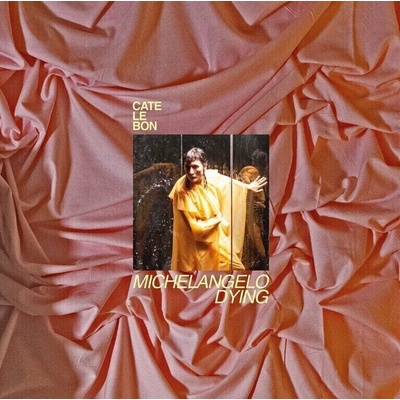Cate Le Bon: Michelangelo Dying LP