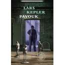 Pavouk - Lars Kepler