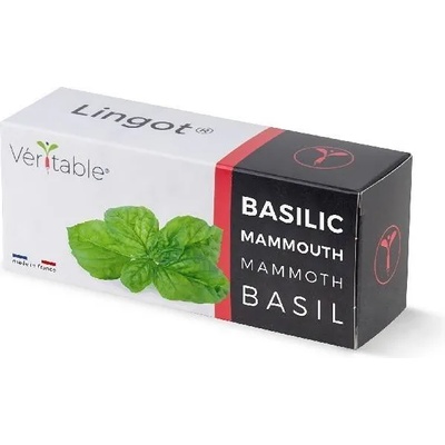 veritable Семена 'Босилек Мамут' VERITABLE Lingot® Mammoth Basil Organic (VLIN-O10-Bas058)