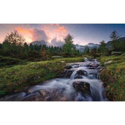 Komar Vliesová fototapeta Wild Paradise 450 x 280 cm