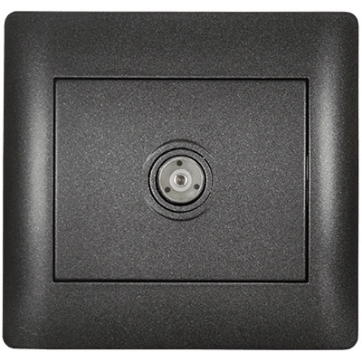 Garden of Eden 11255