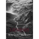 fo-Salgado-Genesis –