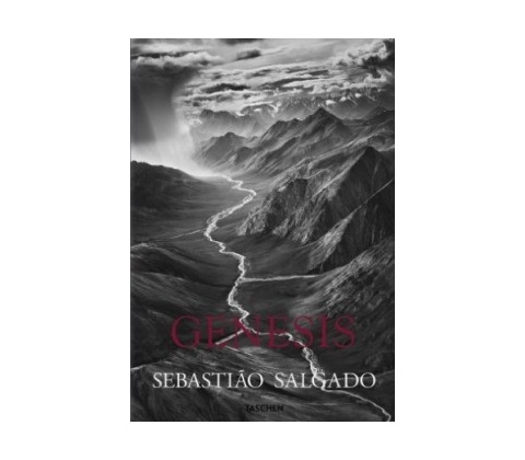 fo-Salgado-Genesis –