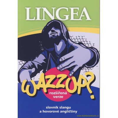 SLOVNÍK SLANGU A HOVOROVÉ ANGLIČTINY - WAZZUP? - kolektiv