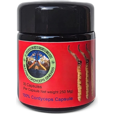 Bhután/Špeciál Divoký Cordyceps Sinensis Bhután 30 kapsúl