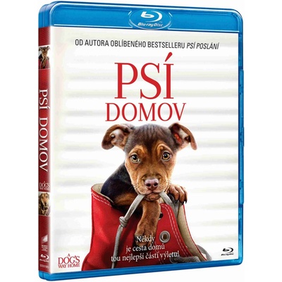 Psí domov BD