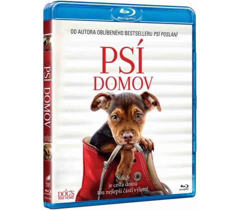 Psí domov BD