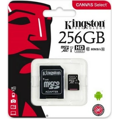 Kingston Class 10 256 GB 40648