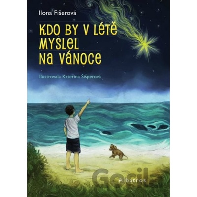 Kdo by v létě myslel na Vánoce Ilona Fišerová