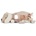 Smallstuff Activity Center, Dog, Rose - (40049-01)