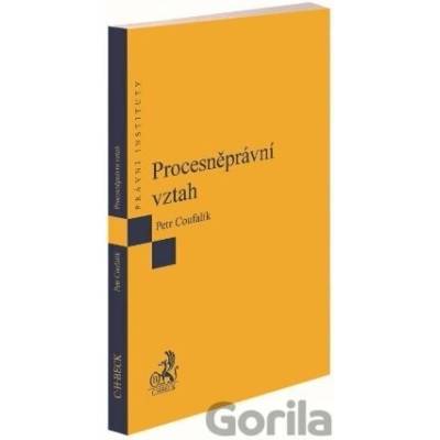 Procesněprávní vztah