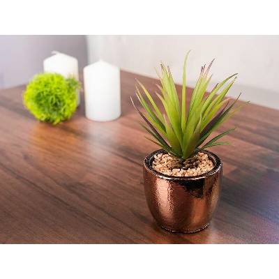 Sukulent MagicHome S34041, 19 cm, črepník- cement, zlatý