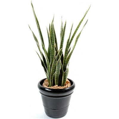 Umelá kvetina Sansevieria deluxe v kvetináči, zeleno-žltá 110cm