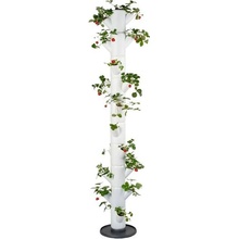 Gusta Garden GG-100529