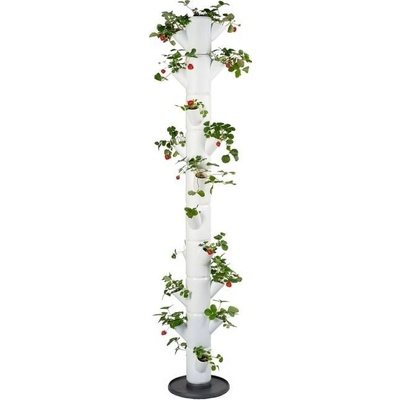 Gusta Garden GG-100529