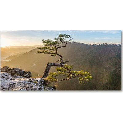 Foto obraz sklenený horizontálny Sokolice Pieniny 100x50 cm