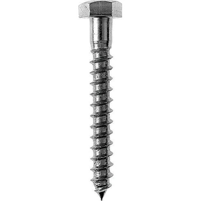 Profi Depot Vrut do dřeva DIN 571, ø 6 × 60 mm, šestihranná hlava, 100 ks 4024506249363
