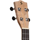 Stagg US-30