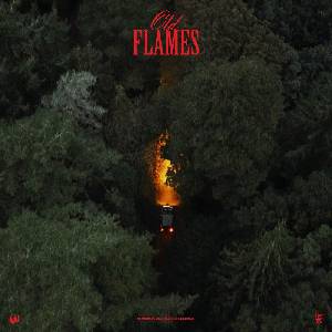 Universal La Roux: Old Flames - Vinyl (LP) (098717)