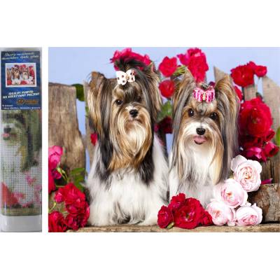 Norimpex - Puzzle Diamond Painting Dogs in roses 30x40cm - 1 - 39 piese