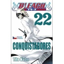 Bleach 22