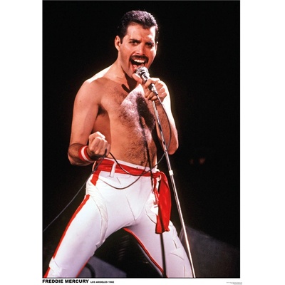 Plagát, Obraz - Queen (Freddie Mercury) - Los Angeles 1982, 59.4 × 84.1 cm