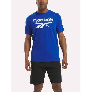 Reebok Тениска identity big logo (100206029)