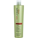 Inebrya Ice Cream Energy šampón proti vypadávániu vlasov Shampoo That Helps Prevent Hair Loss 300 ml