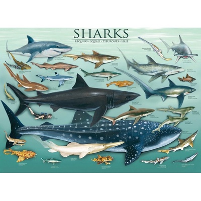 Eurographics Jigsaw Sharks 1000 dielov