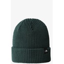 čepice The North Face TNF Fisherman beanie OS Zelená