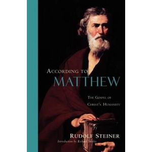 According to Matthew | Rudolf Steiner (ISBN: 9780880105040)