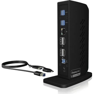 RaidSonic IB-DK2252AC