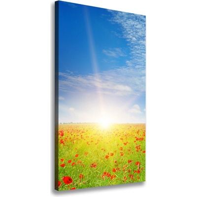 Vertikálny foto obraz na plátne do obývačky Pole makov 50x100 cm